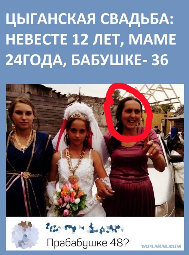 Так себе картинки 23.06.22