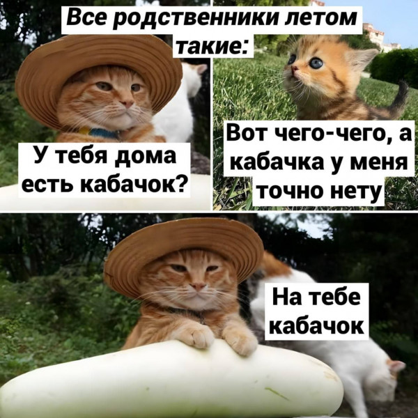Картинки и мемы для настроения. Выходные рядышком...