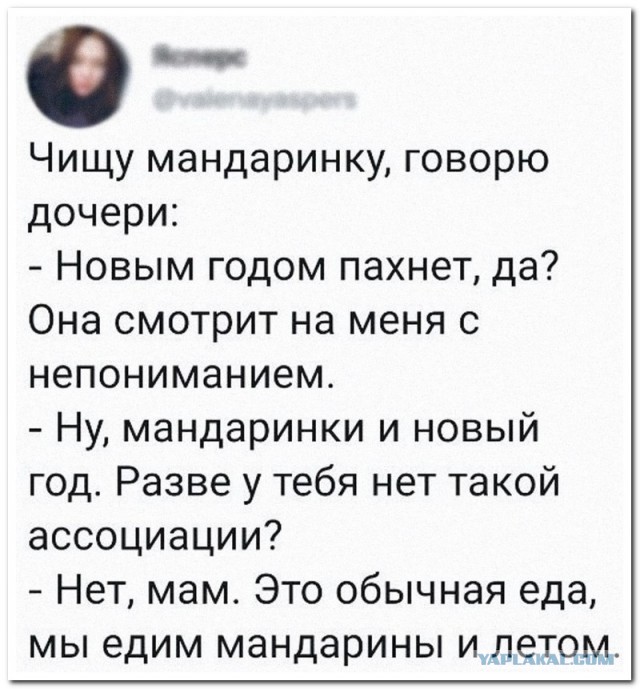 Забавные комментарии из социальных сетей (12.12.22)