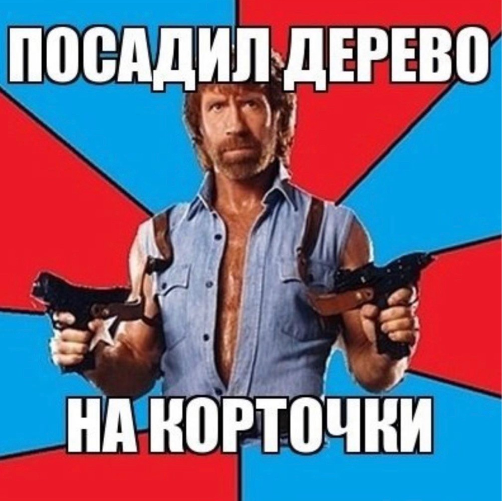Откуда Пошли Мемы Про Чака Норриса