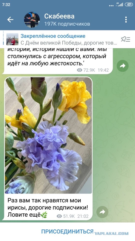 Скабеева опубликовала у себя в телеграм-канале фото сине-желтого букета. Потом срочно удалила