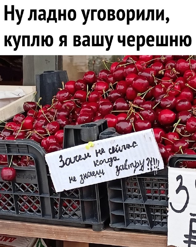 Черешня мем. Шутки про черешню. Мемы про черешню.