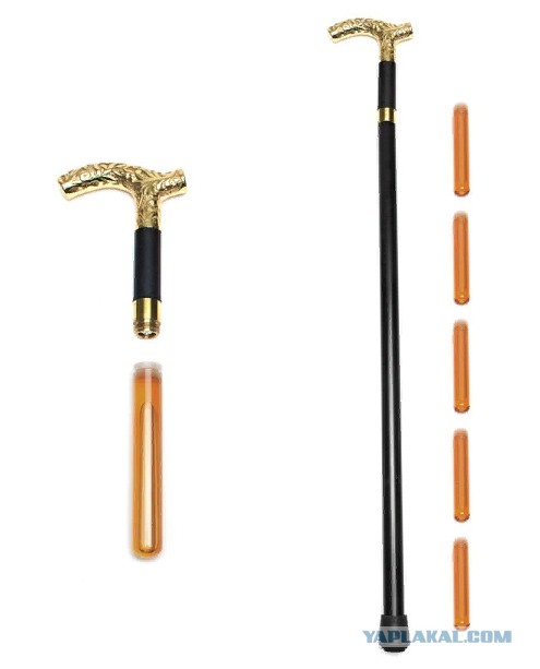 Почему трость столетиями была показателем высокого статуса, а потом от нее быстро отказались?