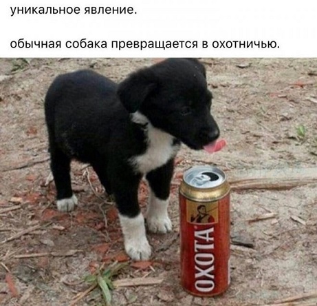 Когда заходишь на чай