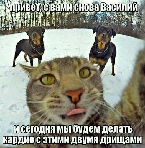 Нуштош 05.07.2024