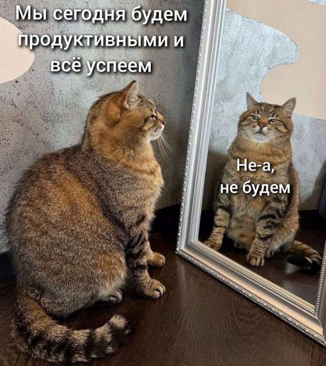 К котовторнику: подборка картинок-баянов с котиками и про котиков. Выпуск 13