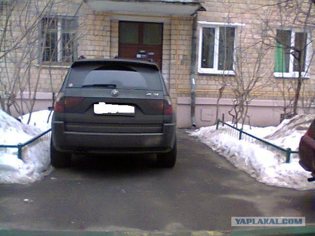 Печальная судьба тайских ледибоев