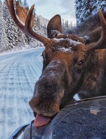 Картиночки на 18.02.2026