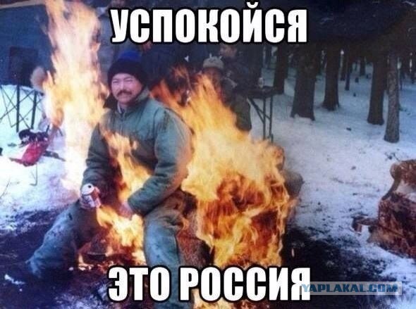 Видеобращение Виктории Бони к Путину об актуальных проблемах россиян побило по просмотрам "Прямую Линию" Путина в 2026 году