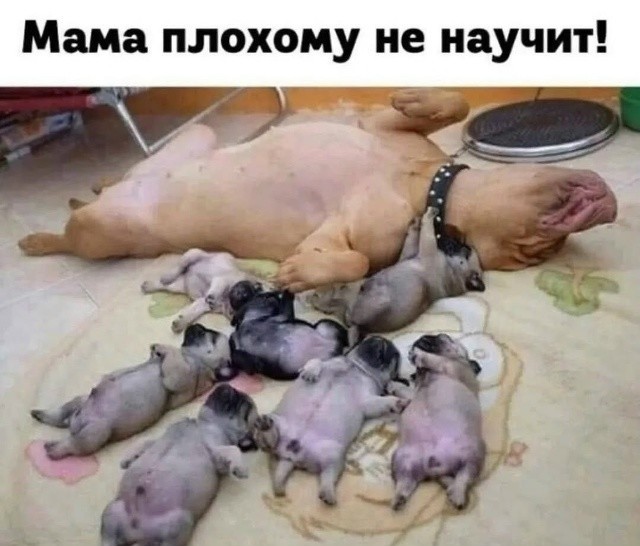 забавные картинки, шутки из этих ваших интернетов