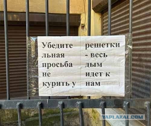 Веселые картинки в пятницу (25.09)