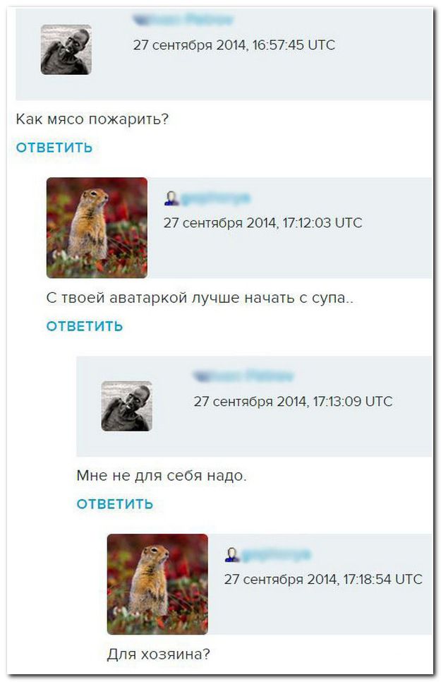 Смешные комментарии 18+ (15 фото)