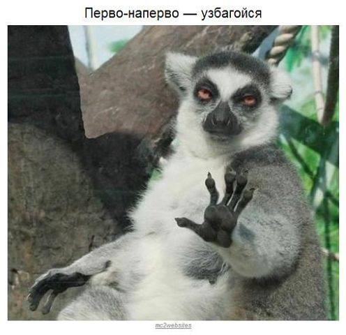 Обнаружил переписку своей жены с другом детства