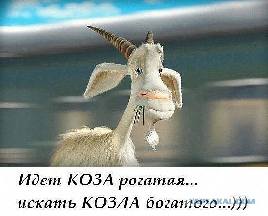 Весёлое из сети