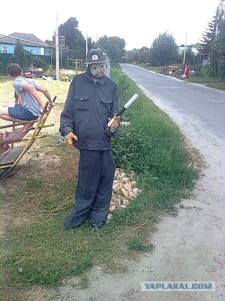 По родным просторам