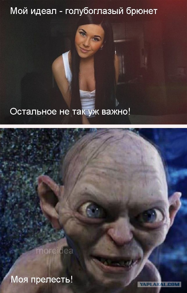 Моя Прелесть Мем
