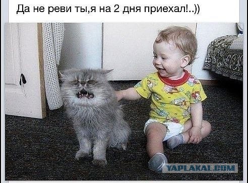 Веселые картинки