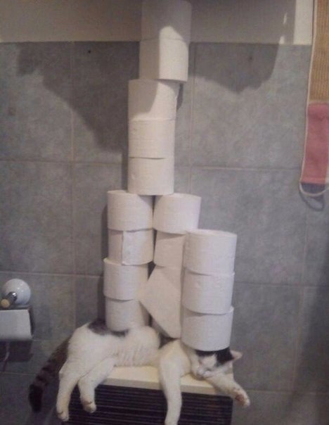 Подборка картинок 17.02.16