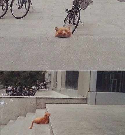 Подборка красивых картинок