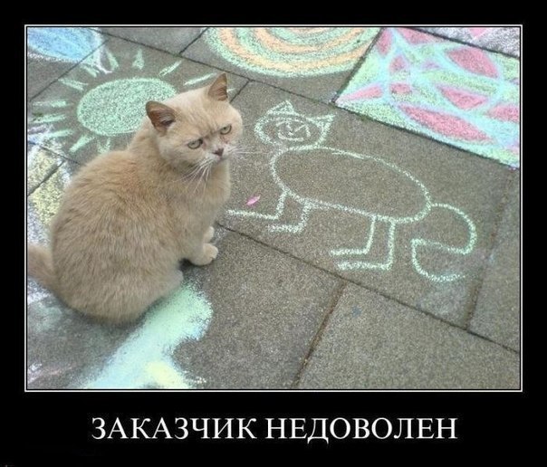 Демы к котовторнику!