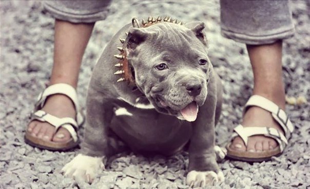 Субботняя подборочка картинок