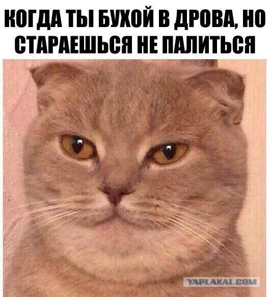 Всячина. 33 картинки