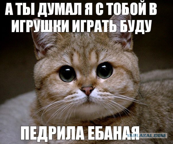 Мем Пидрила Ебаная