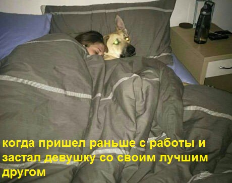 Подборка картинок