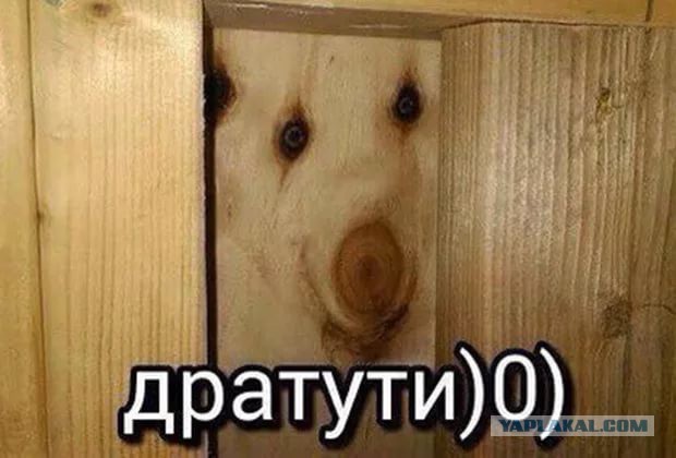 Дратути!