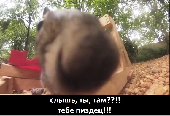 Это подло, но в тоже время гениально!