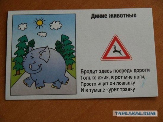 ПДД (16 фото)