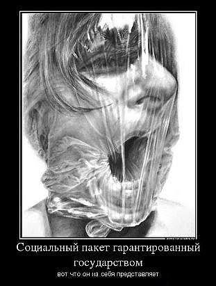 Приколы в картинках или прикольные картинки?