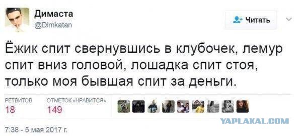 Подборка картинок из Интернета
