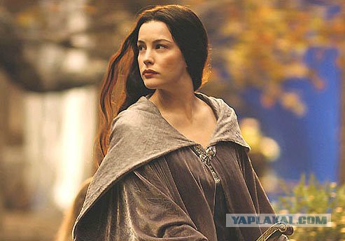 The special edition: Liv Tyler
