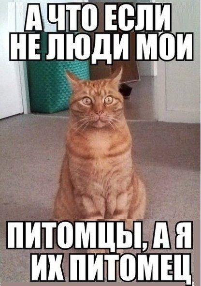 Немного картинок на вечер