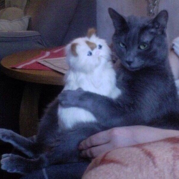 Немного милоты