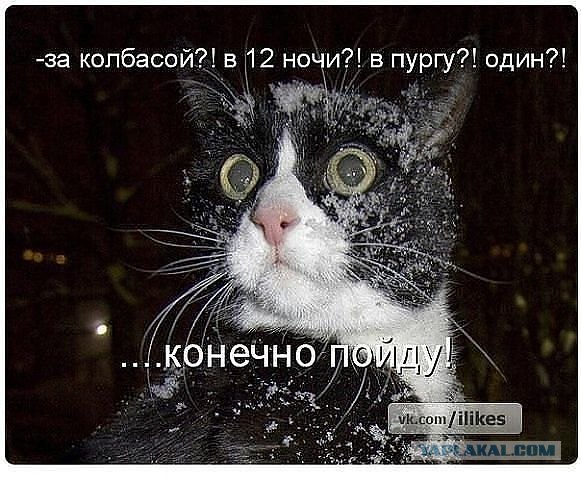 Кушать? Бегу-бегу!