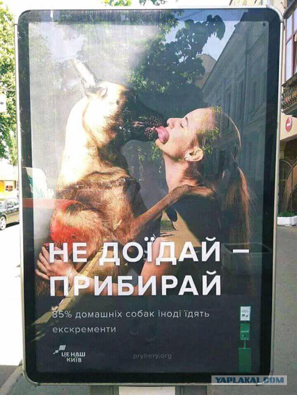 Владельцы собак. Я Вас ненавижу. Вы задолбали, вы тупые что ли?