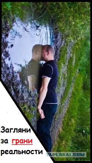 Скотсети и прочие интернеты 17.05.19