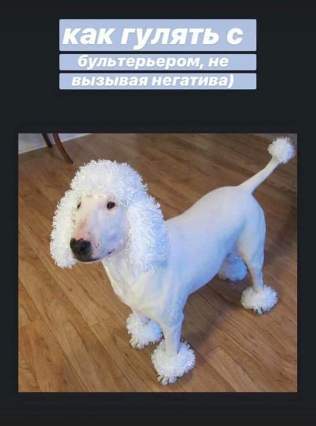 Не очень адекватный юмор