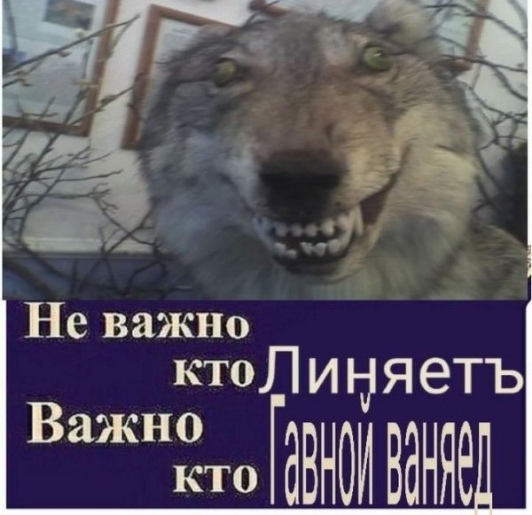 Юмор на любителя