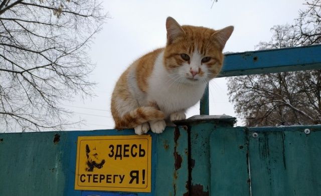 Бредзона 31.05.20