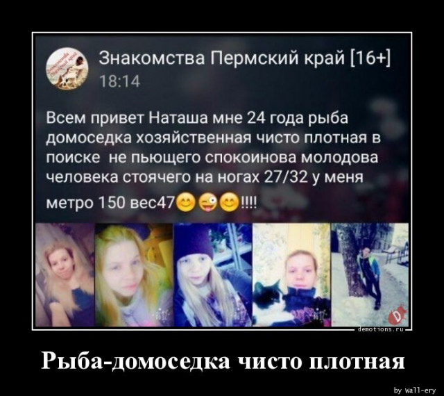 Забавные шутки, картинки и фразы из этих ваших интернетов