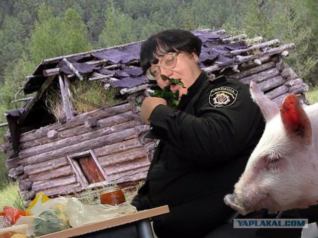 Фотожаба: Голодный охранник