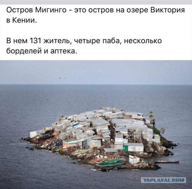 Бредзона 15.08.20