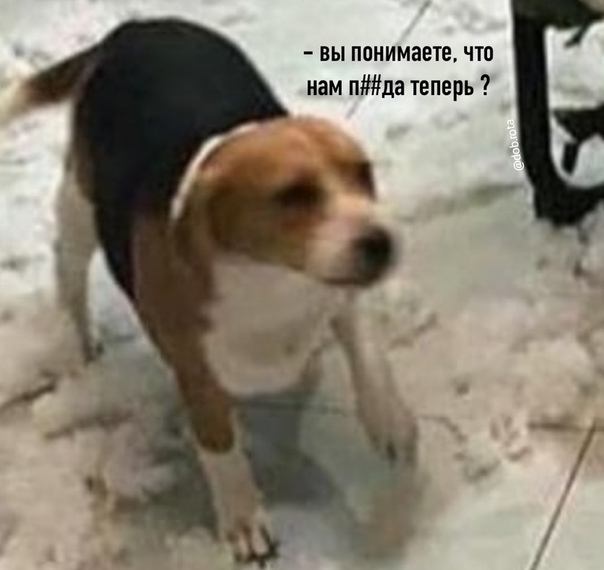 Немного картинок для настроения 22.08.20