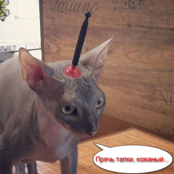 Картинки всякие
