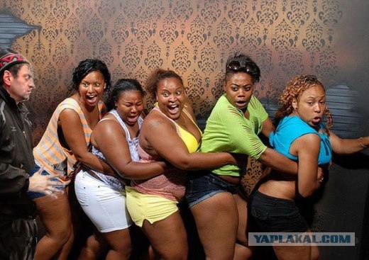 Фотожаба: Приставы и страховщики.