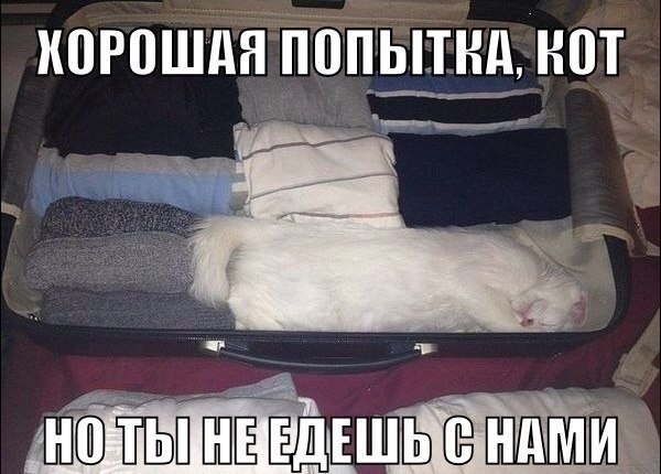 Cтарые фотки из интернета немного баянов