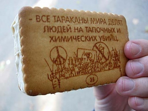 Биологи раскрыли секрет мгновенного исчезновения